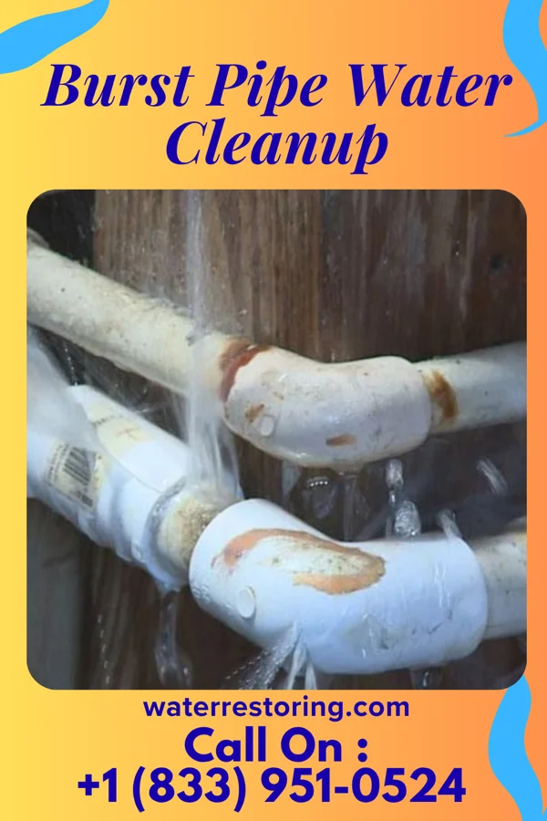 Burst Pipe Water Cleanup in Jim Thorpe, PA