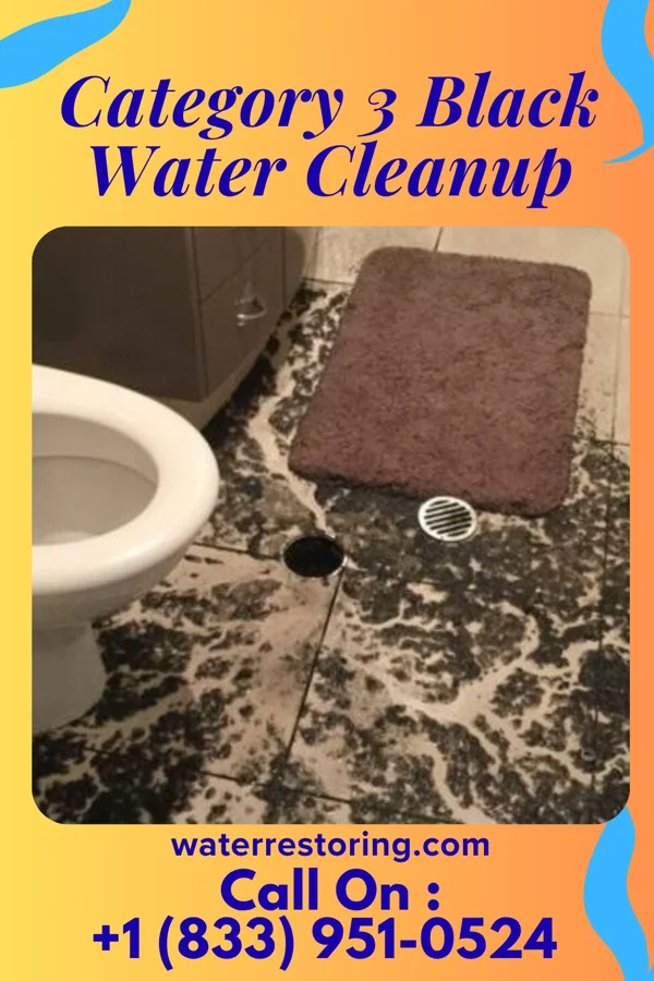 Category 3 Black Water Cleanup in Jim Thorpe, PA