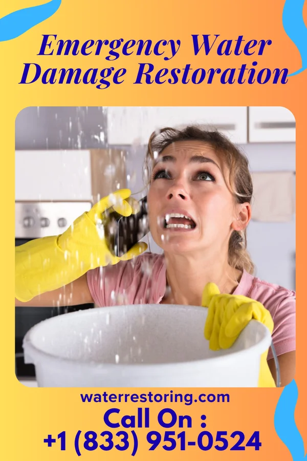 Emergency Water Damage Restoration in Jim Thorpe, PA