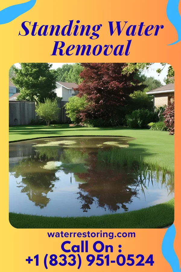 Standing Water Removal in Jim Thorpe, PA
